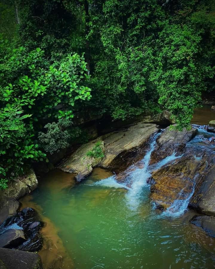 Nisha Homestay Inn Peradeniya Esterno foto