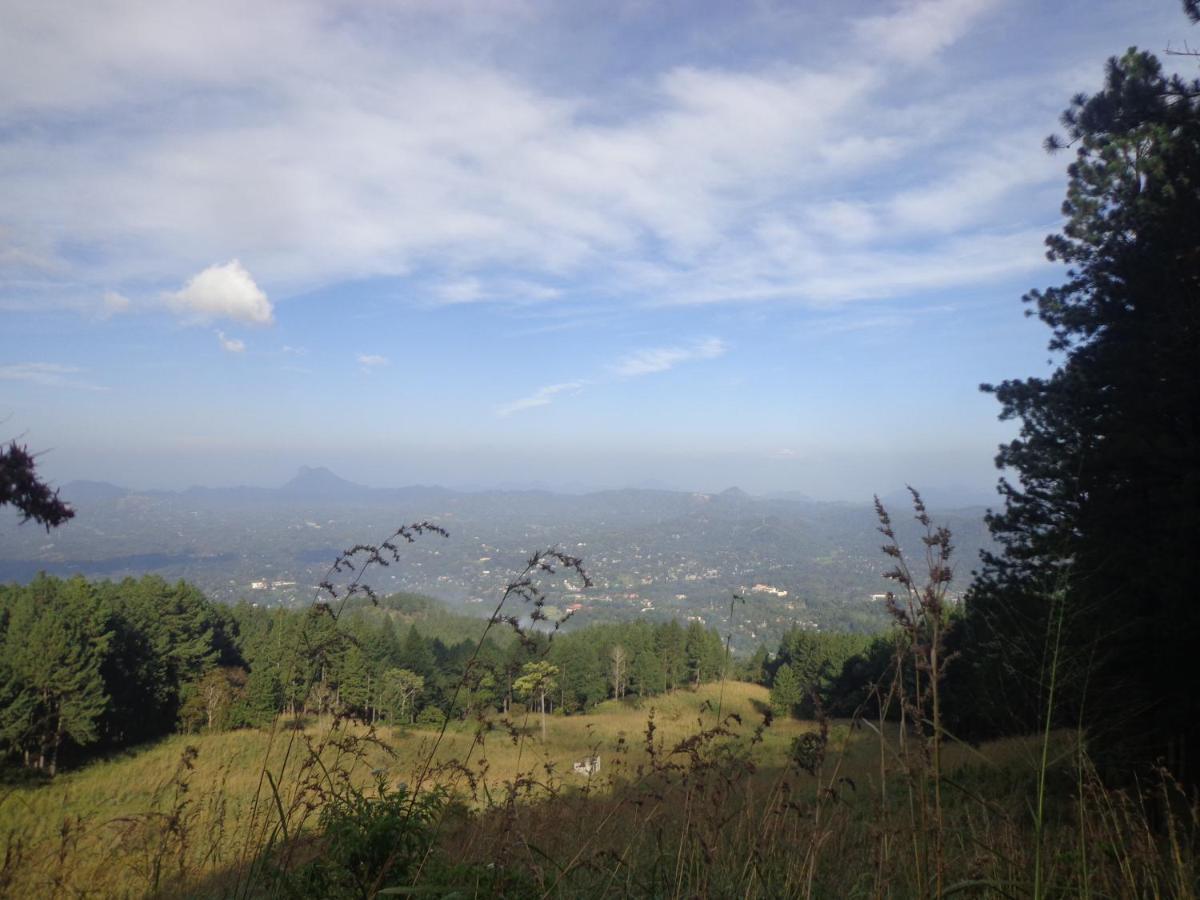 Nisha Homestay Inn Peradeniya Esterno foto